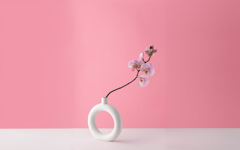 Minimalist orchid flower arrangement in a white circular vase.