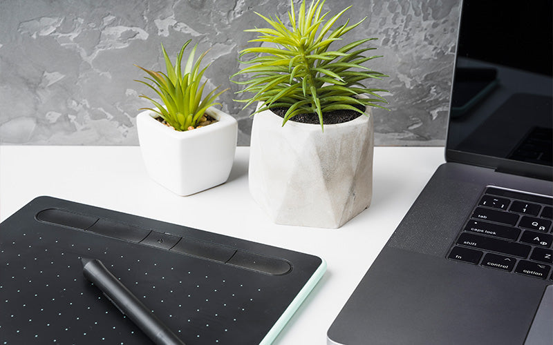Succulent and plants next to a laptop and tablet