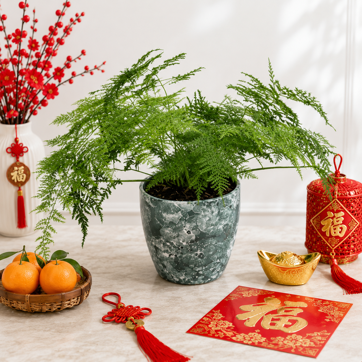 CNY Asparagus fern | Office Plant
