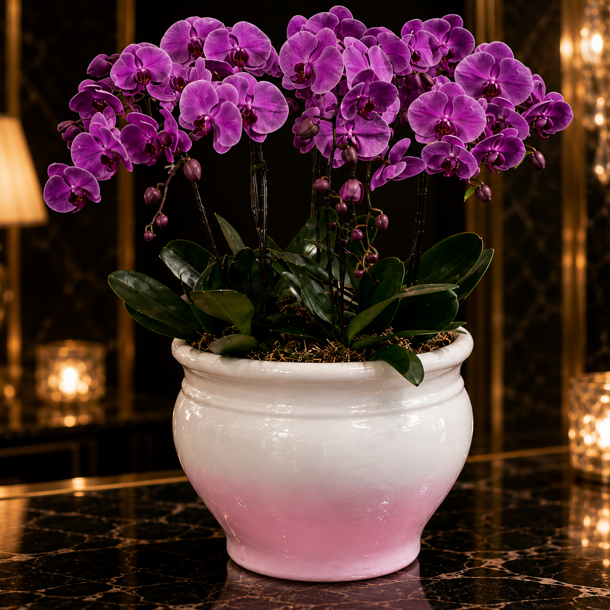 Violet Crest (Orchids) | Vase Flower Arrangement