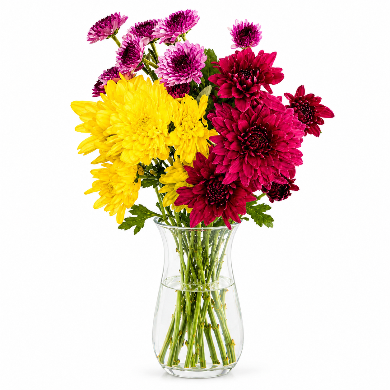 Chrysanthemum Pom Pom (3 Stalks) | Praying Flowers