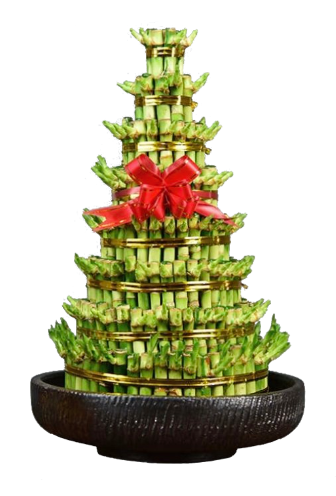 lucky bamboo cny CNY Fresh Lucky Bamboo Tower 8 Tiers