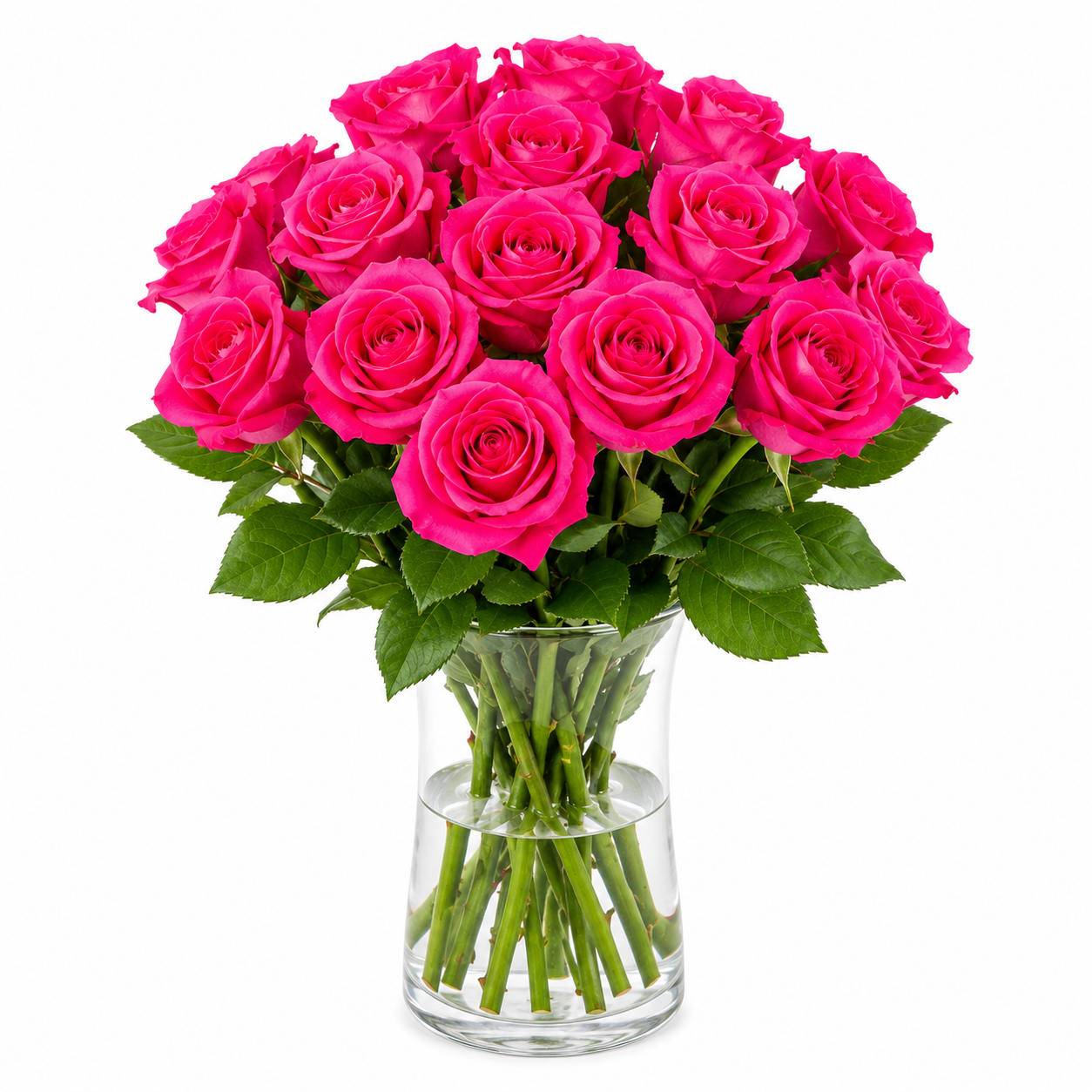 Shocking Pink