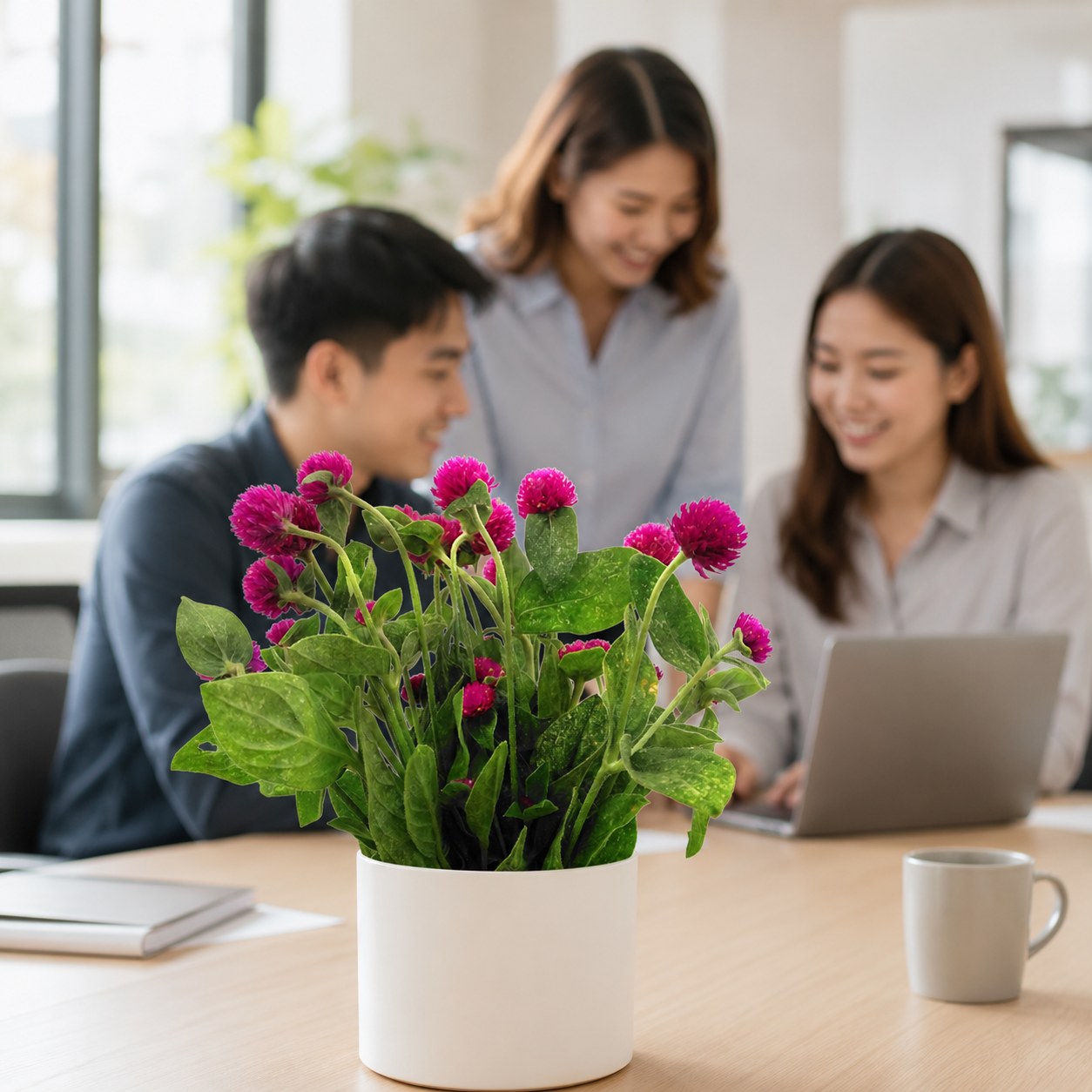 Gomphrena Globosa | Office Plant
