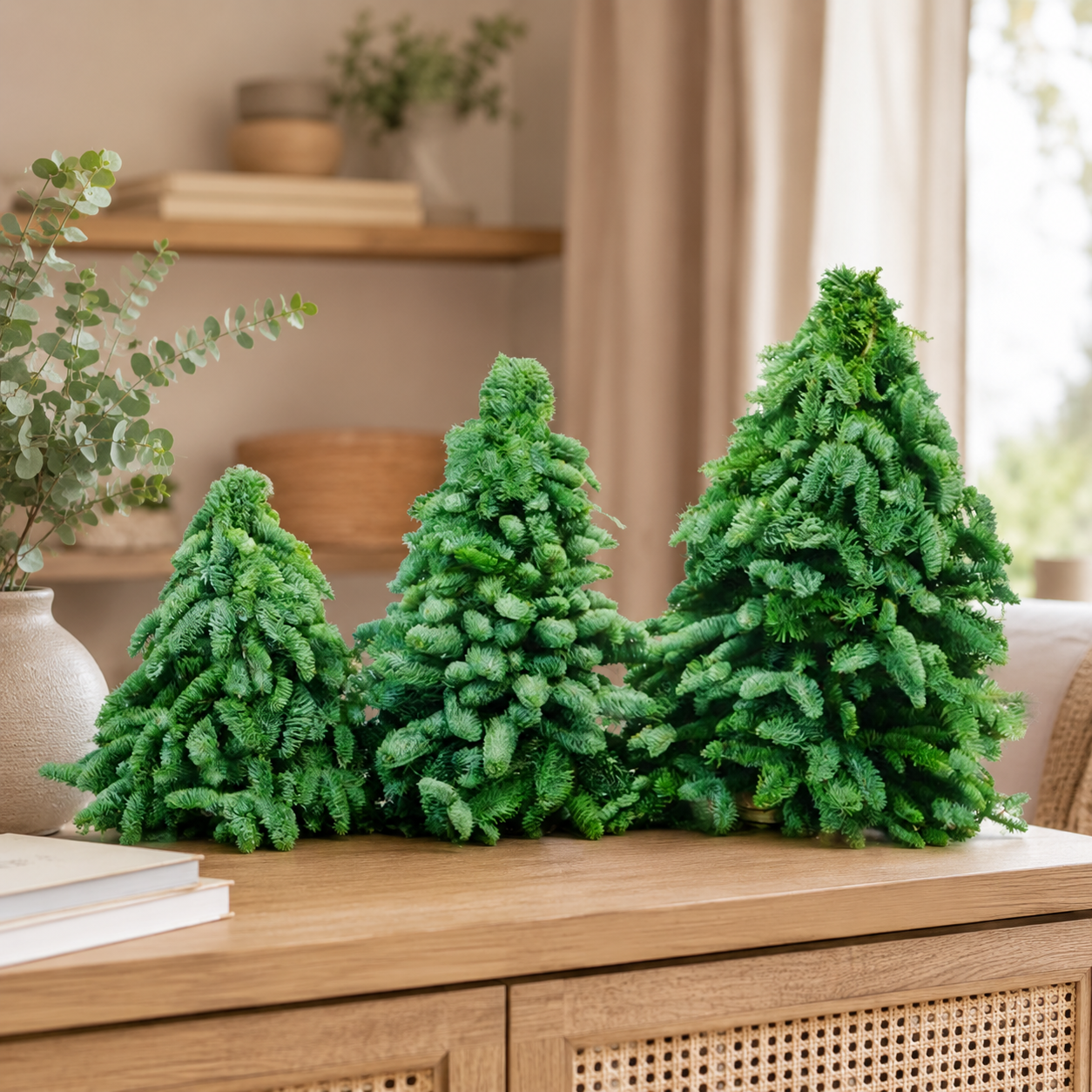 Fresh Nobilis Christmas Tree | Plant