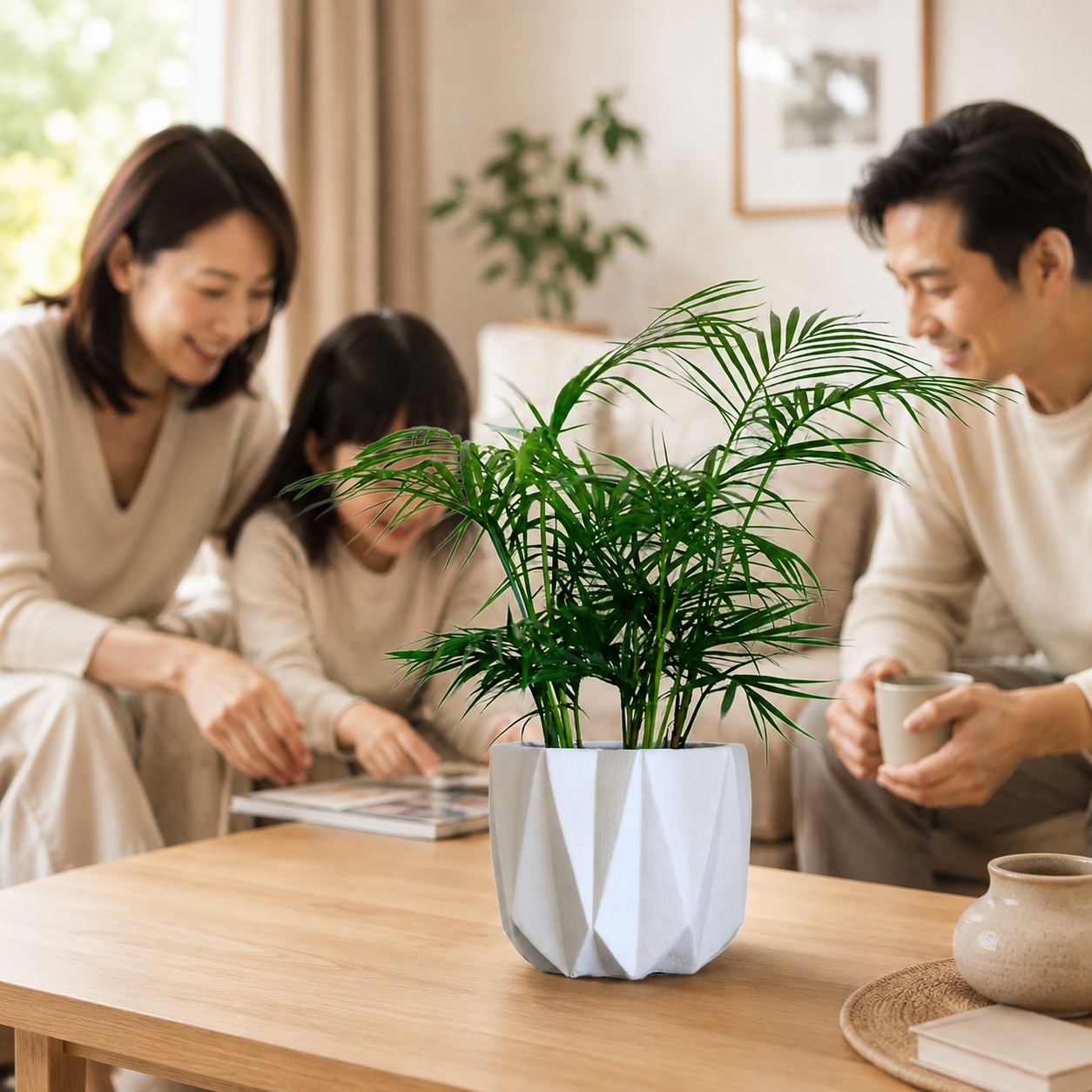 Java Palm | Gardening Plant