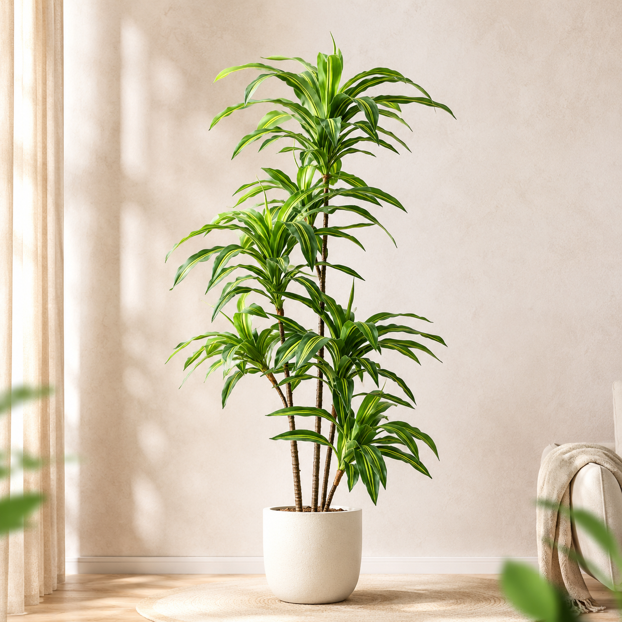 Artificial Dracaena Fragrans