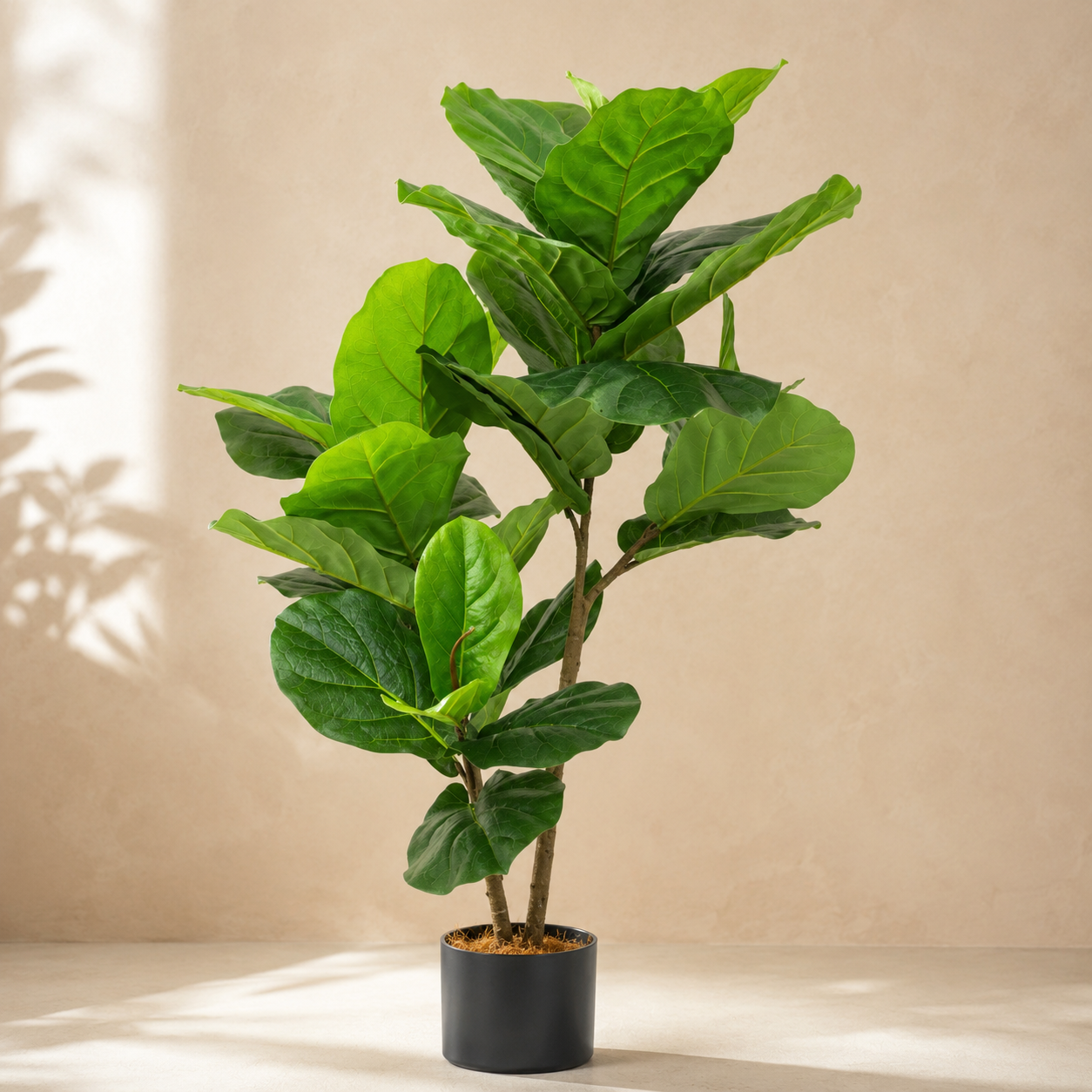 Artificial Ficus Lyrata