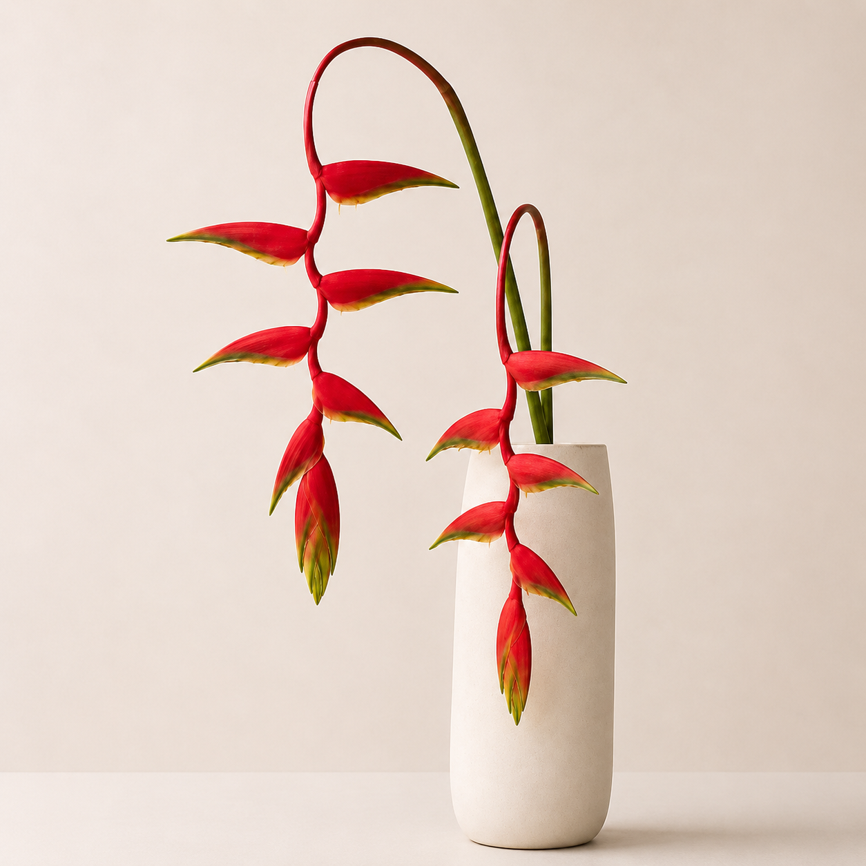 Heliconia | Wholesale Fresh Flowers