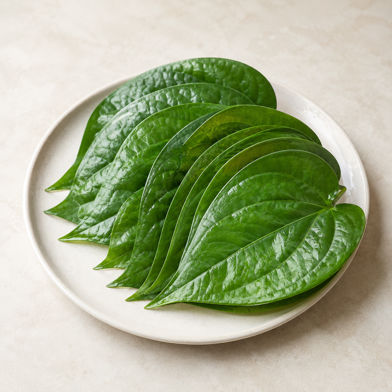 Sireh Betel Leaf