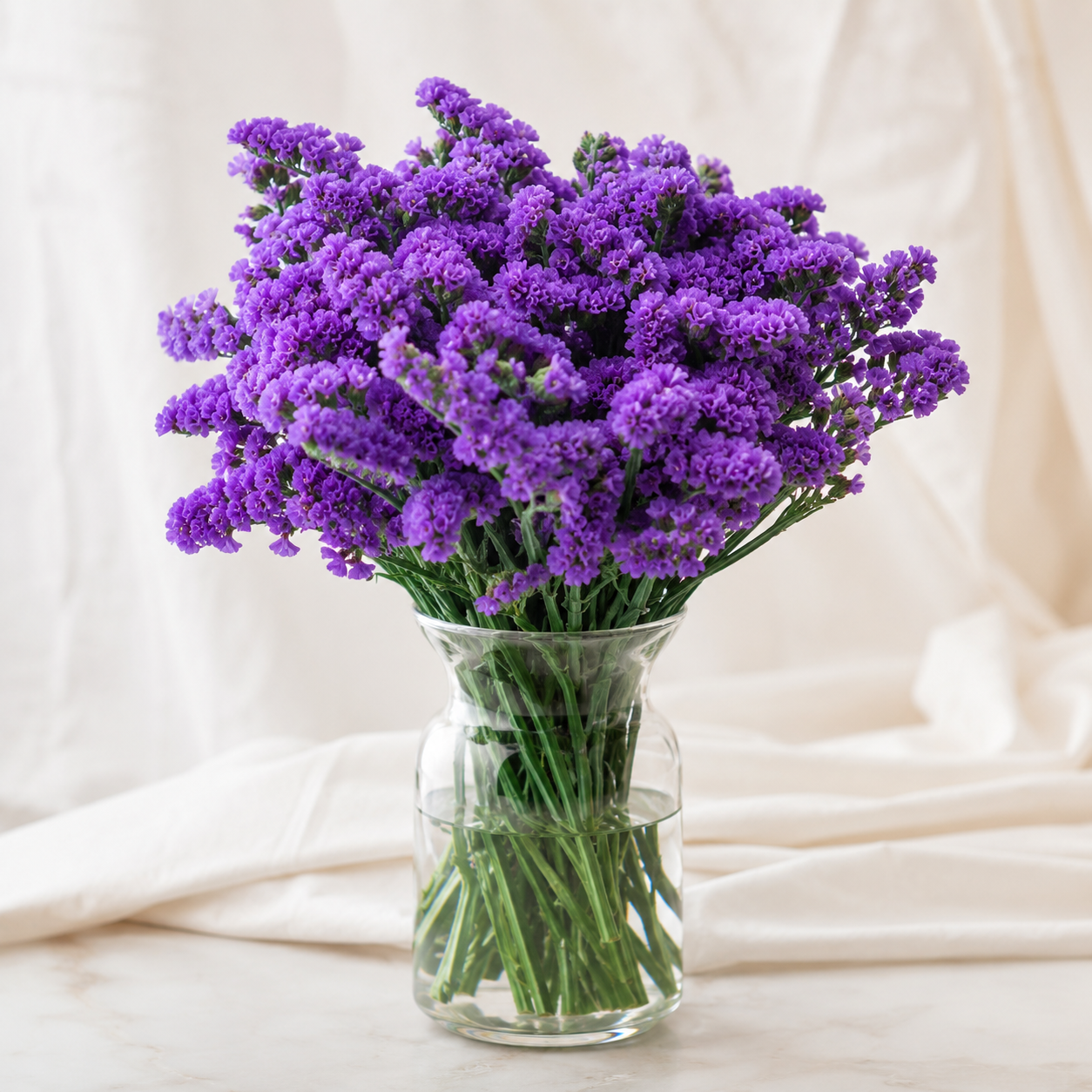 Statice | Wholesale Flowers