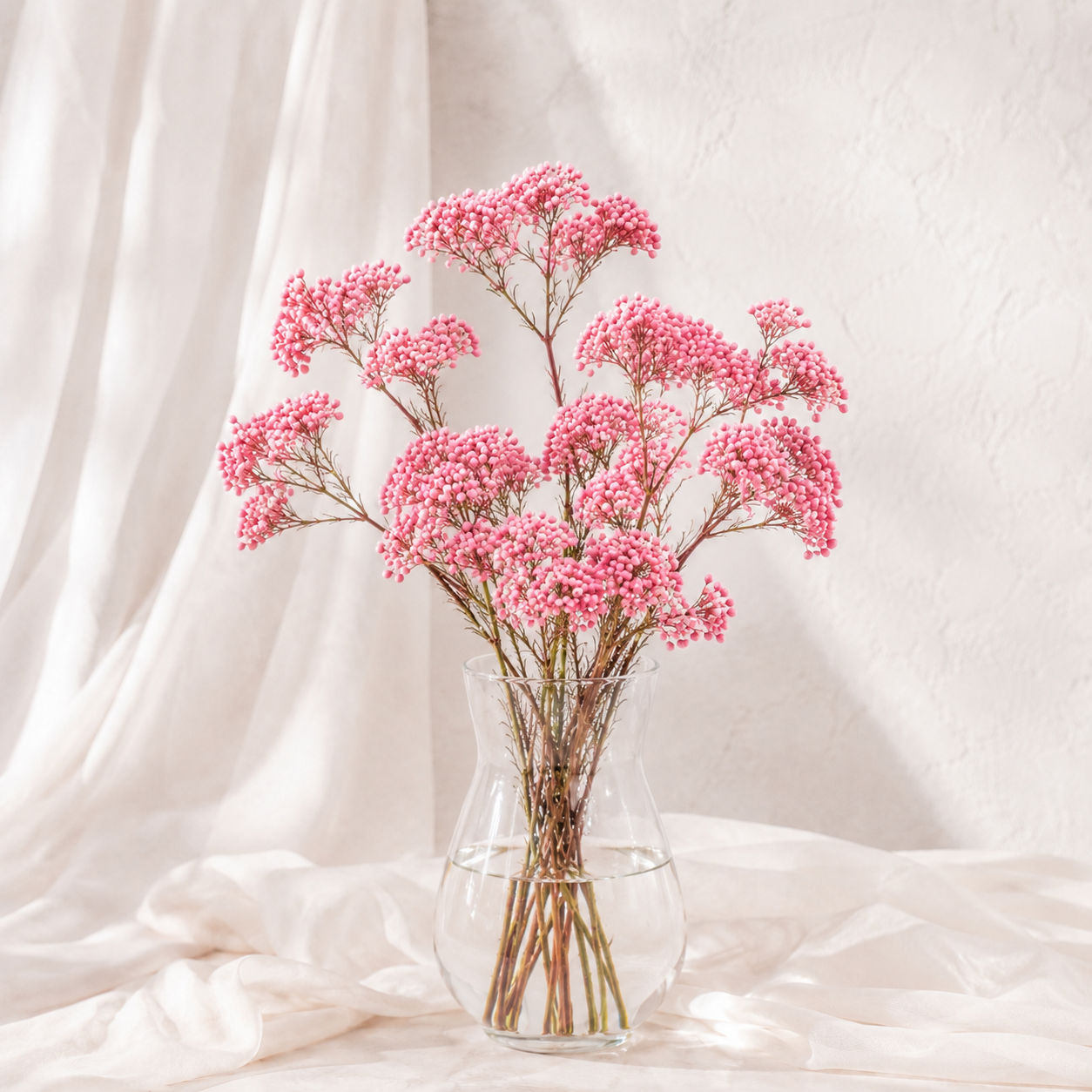 Riceflower | Wholesale Fresh Flowers