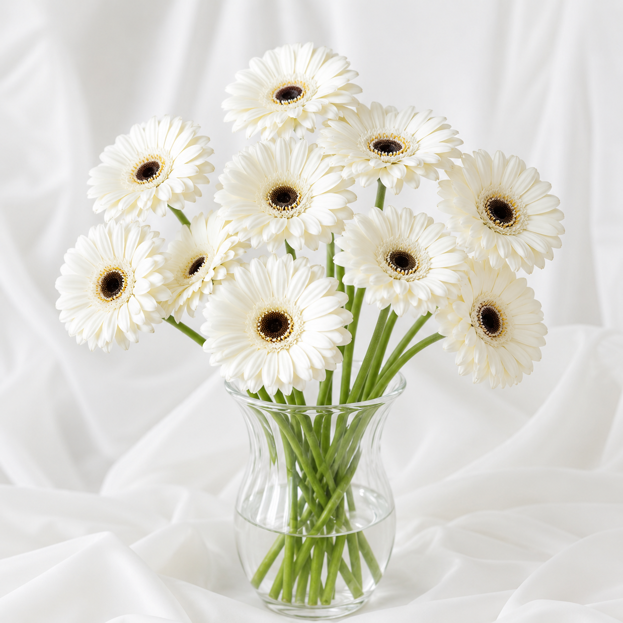 Gerbera | Wholesale Fresh Flowers