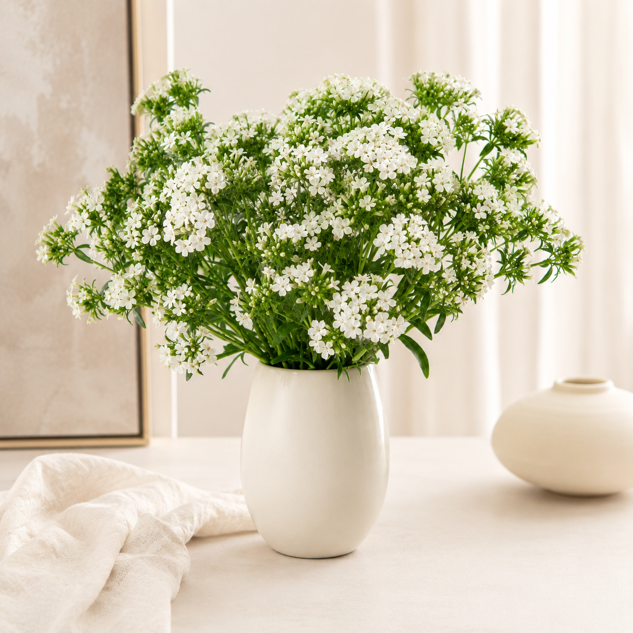 Sweet William | Wholesale Fresh Flowers