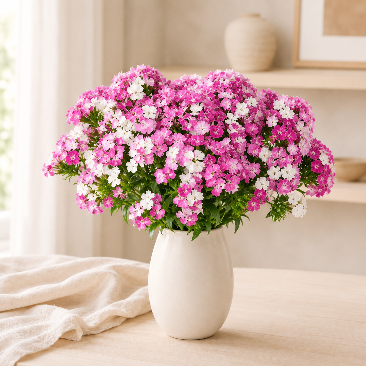 Sweet William | Wholesale Fresh Flowers