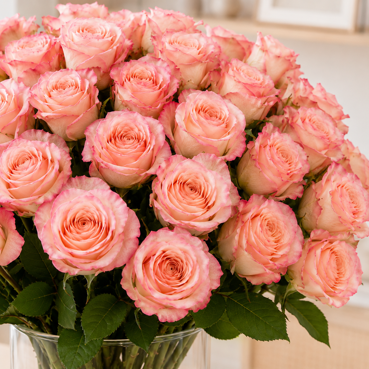 Two Tone Pink Rose
