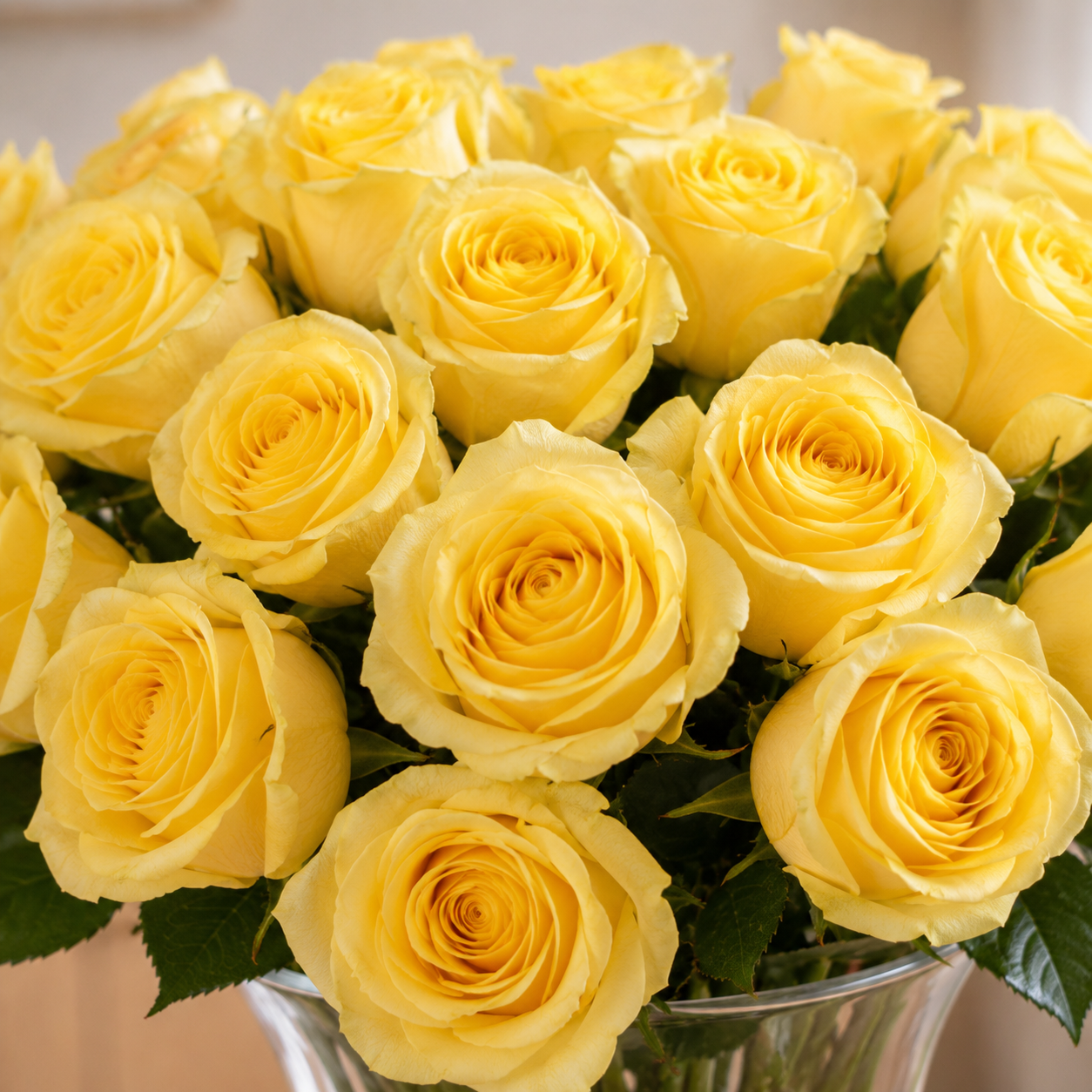 Yellow Roses