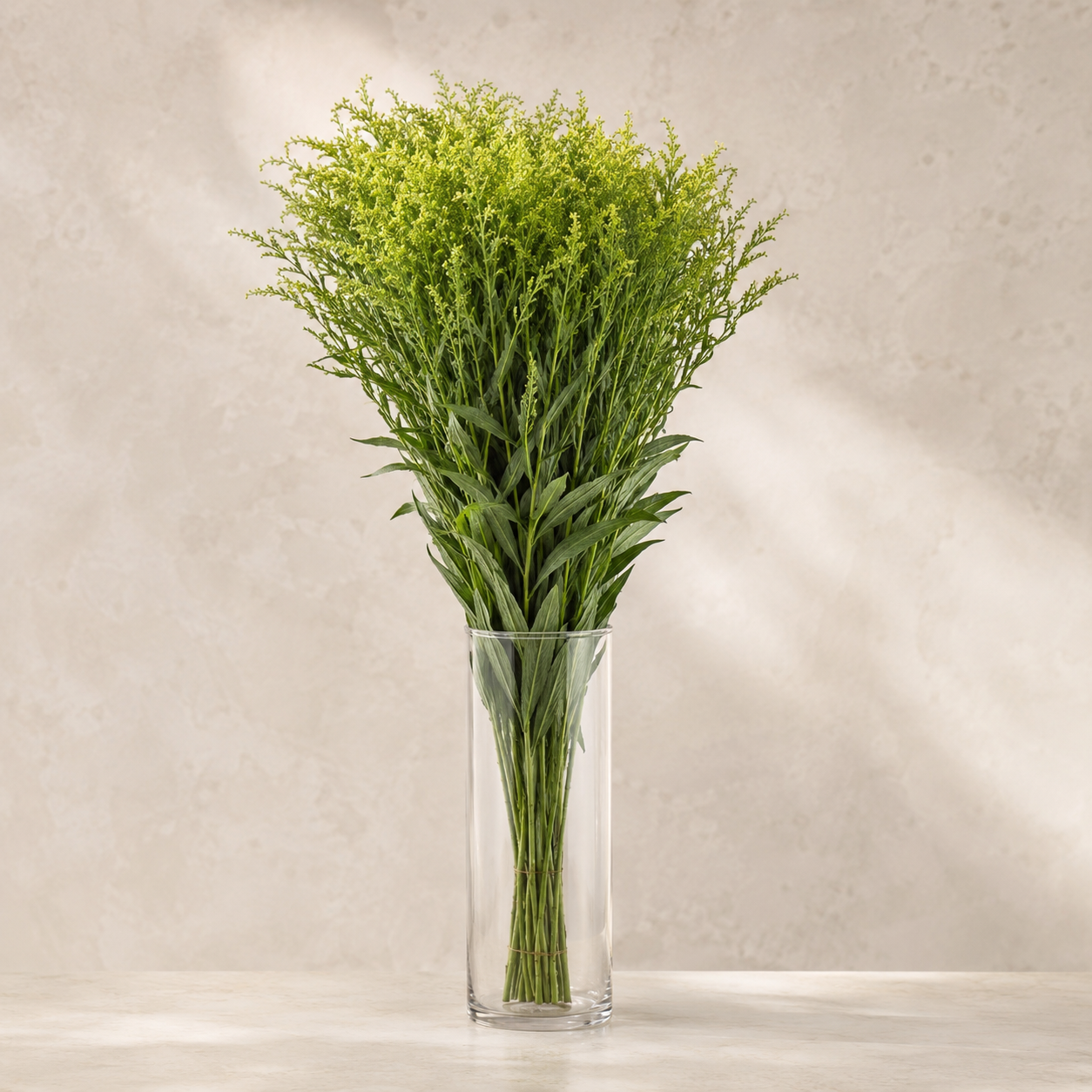 Golden Phoenix | Wholesale Fresh Flowers