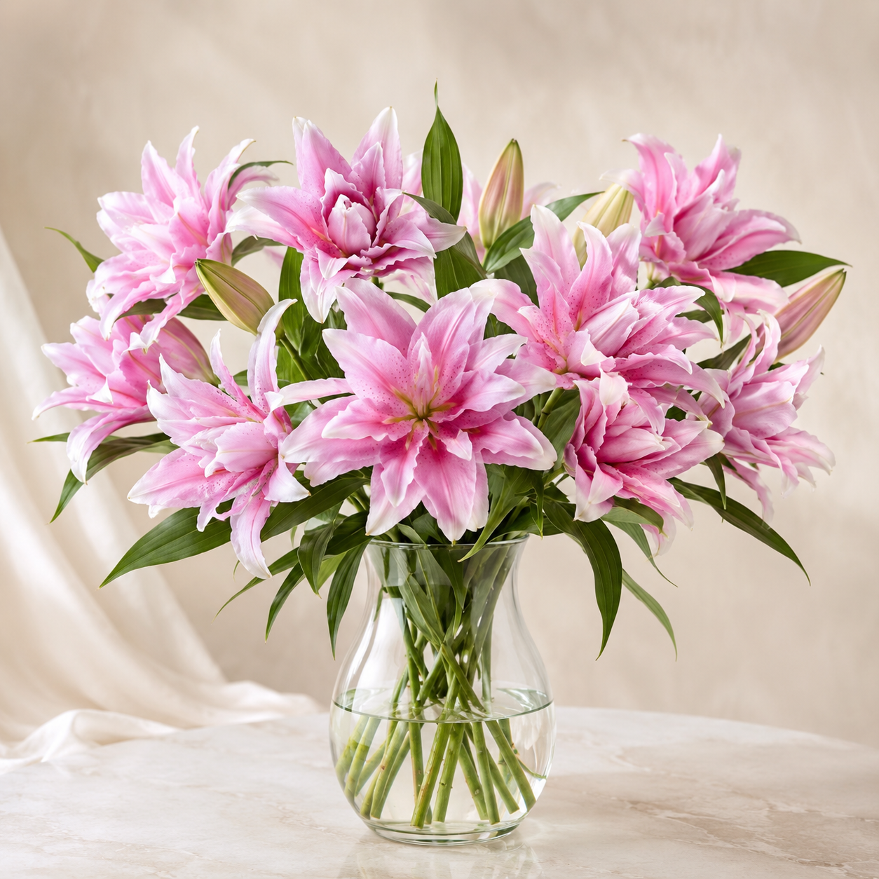 Double Petal Lily | Wholesale Flowers