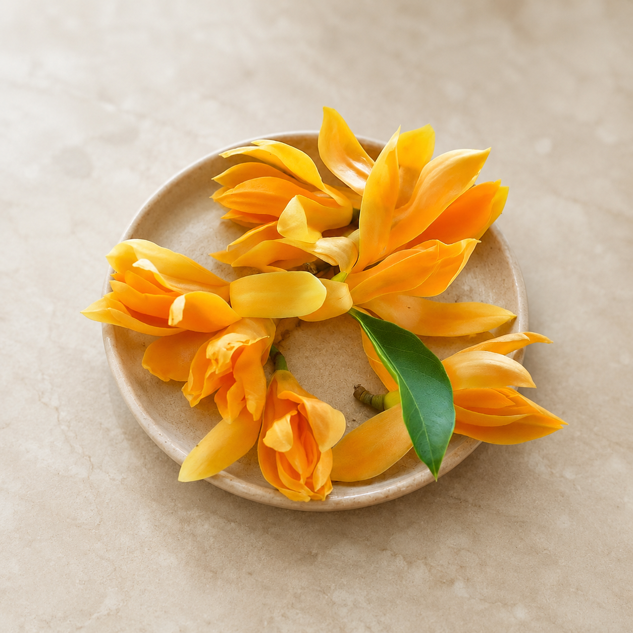 Golden Champaca | Religious Flowers