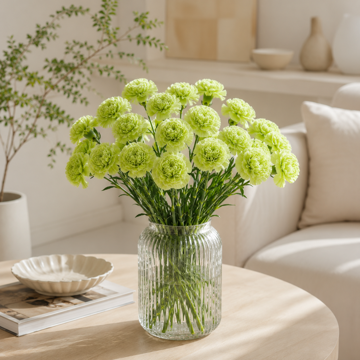 Carnation Green | Wholesale Fresh Flowers