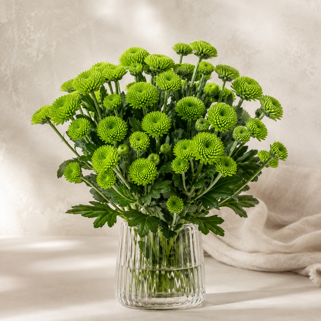 Chrysanthemum Spray | Wholesale Fresh Flowers