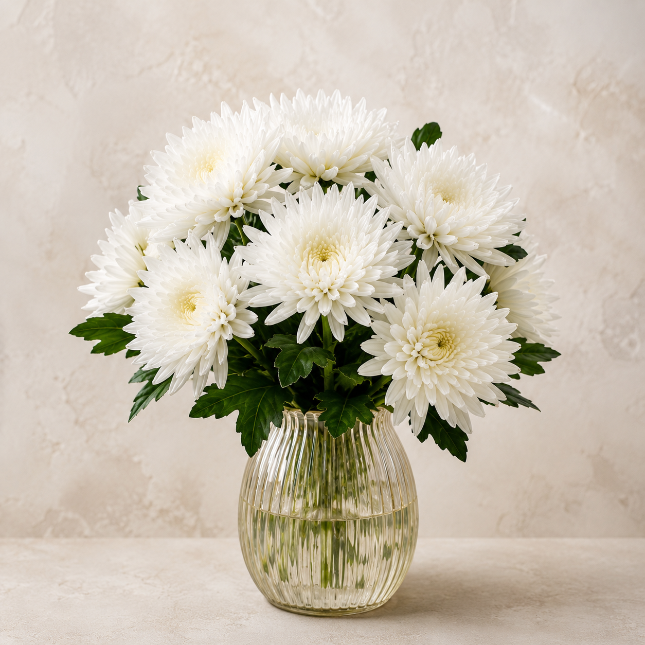 Anastasia | Wholesale Flowers