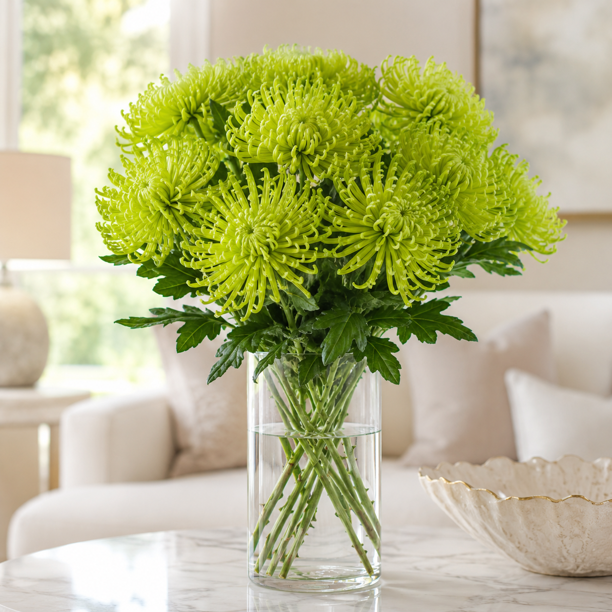 Anastasia | Wholesale Flowers
