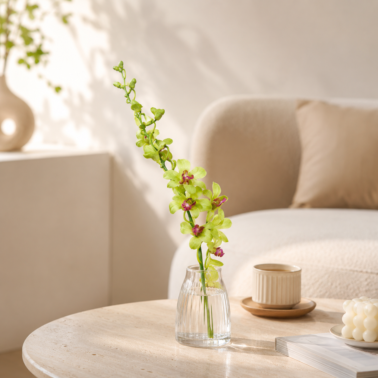 Dendrobium Orchid