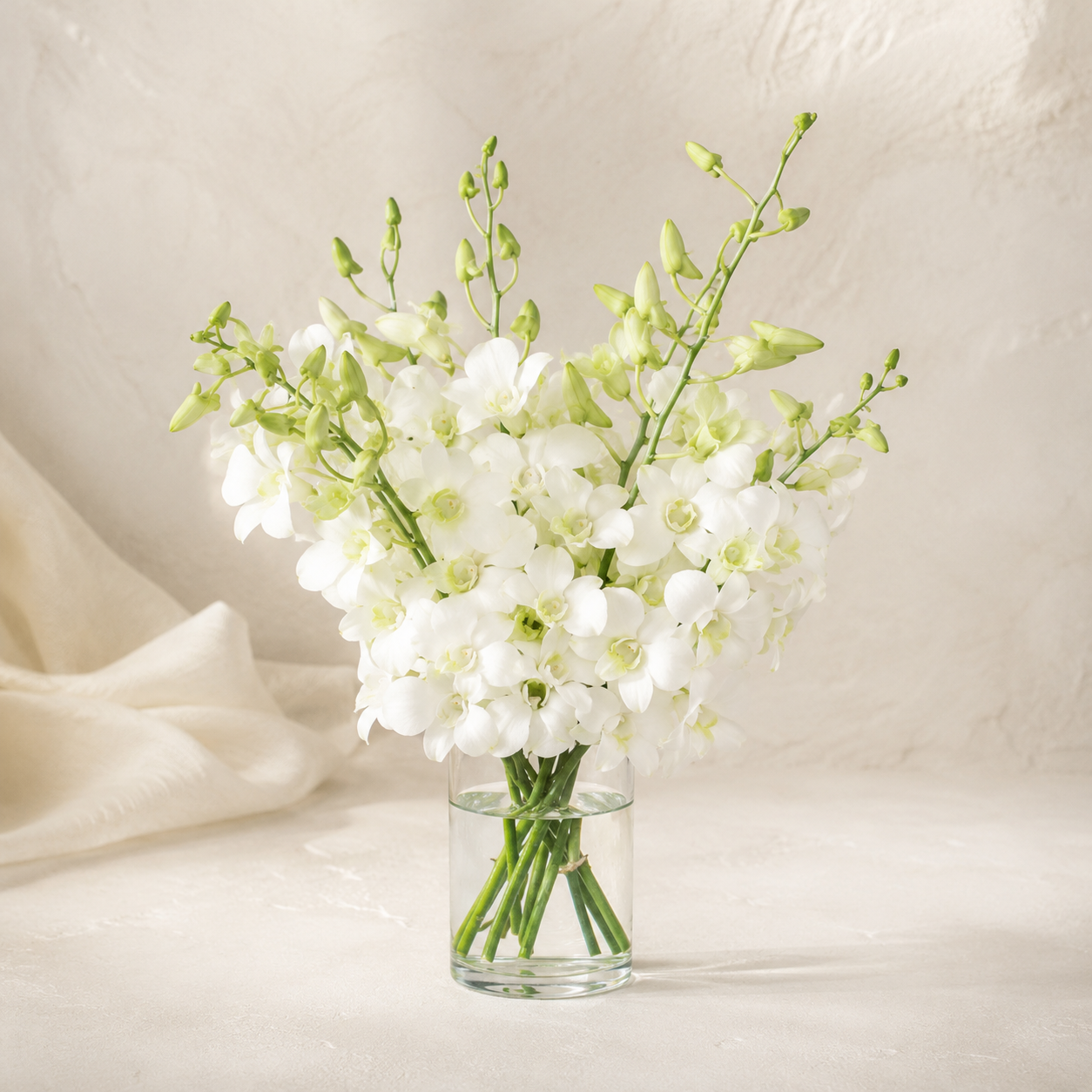 Dendrobium Orchid