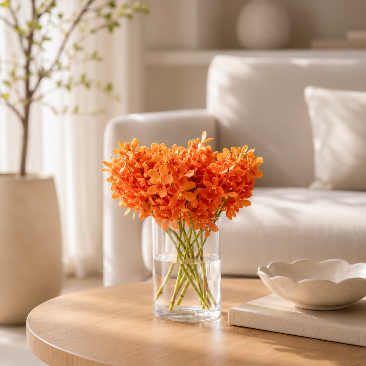Mokara Orchid