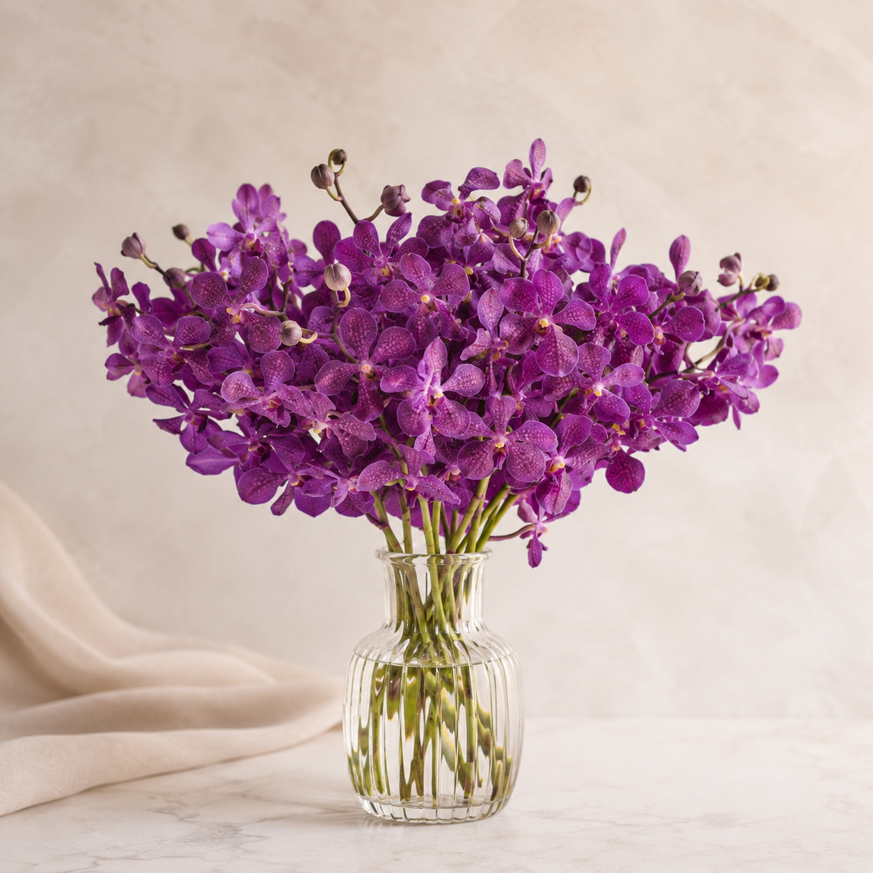 Mokara Orchid