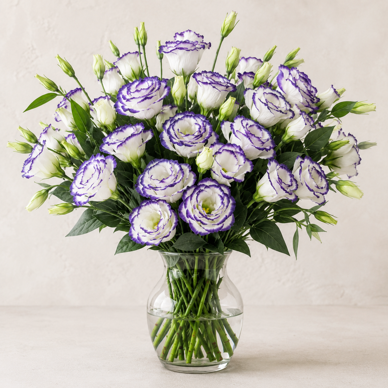 Eustoma | Wholesale Fresh Flowers