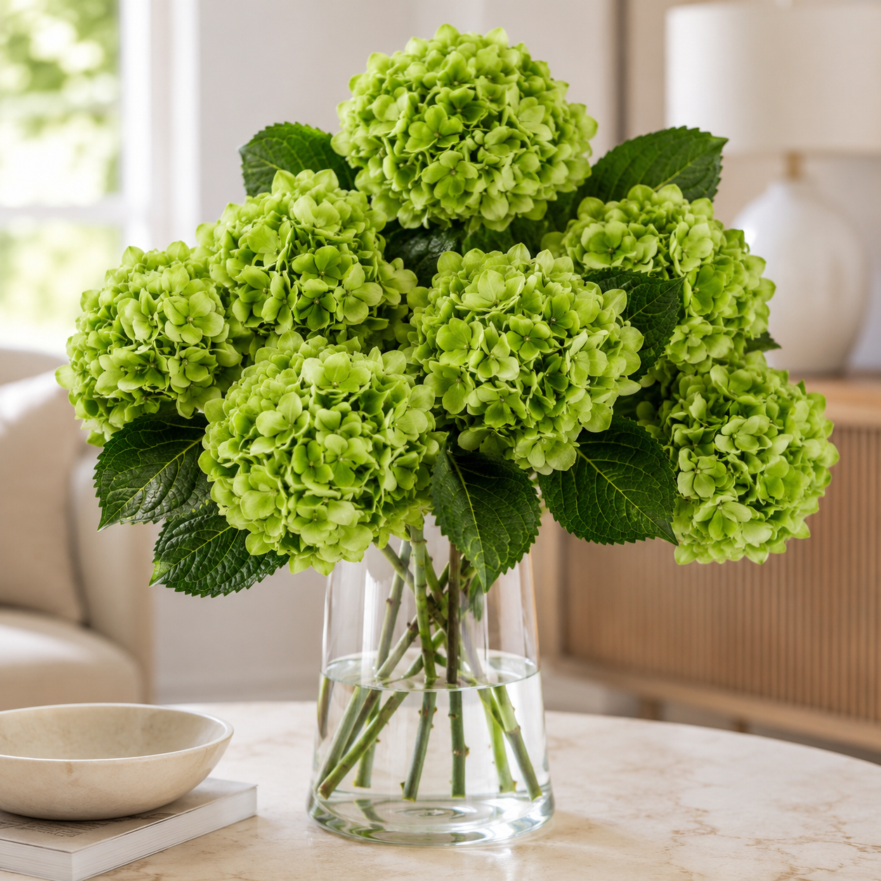 Hydrangea | Wholesale Fresh Flowers