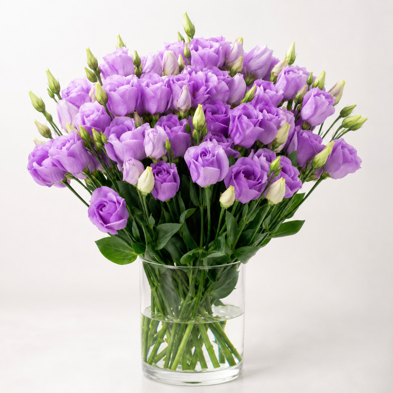 Eustoma | Wholesale Fresh Flowers