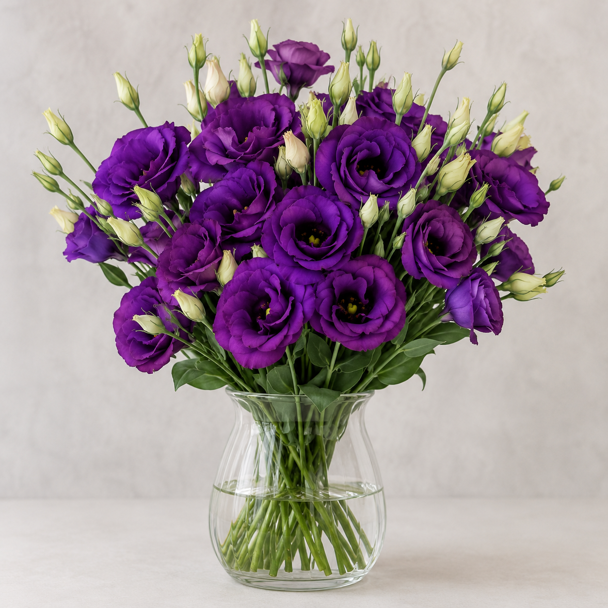 Eustoma | Wholesale Fresh Flowers