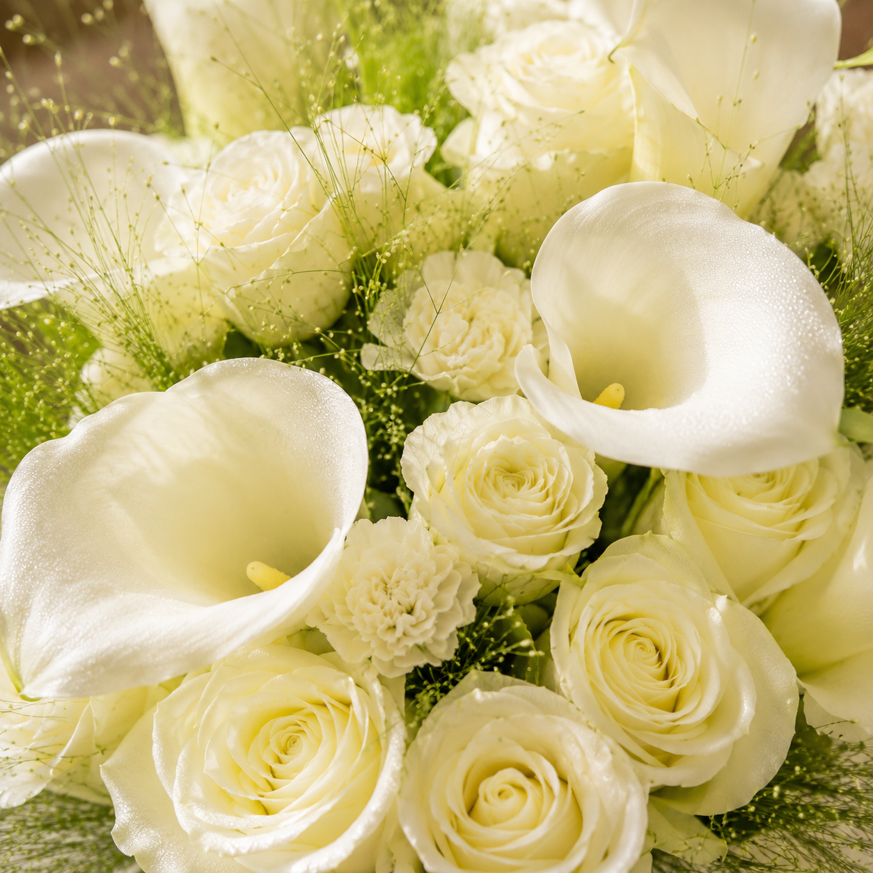 Snowleaf Grace (Calla Lilies, Roses) | Fresh Flower Bouquet