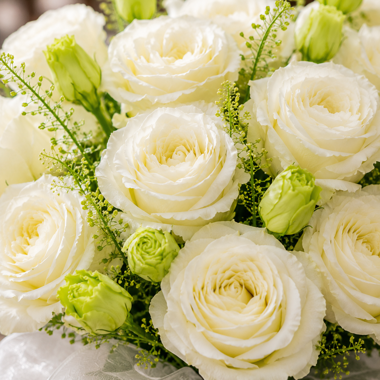 Ivory Lucent (Roses) | Fresh Flower Bouquet