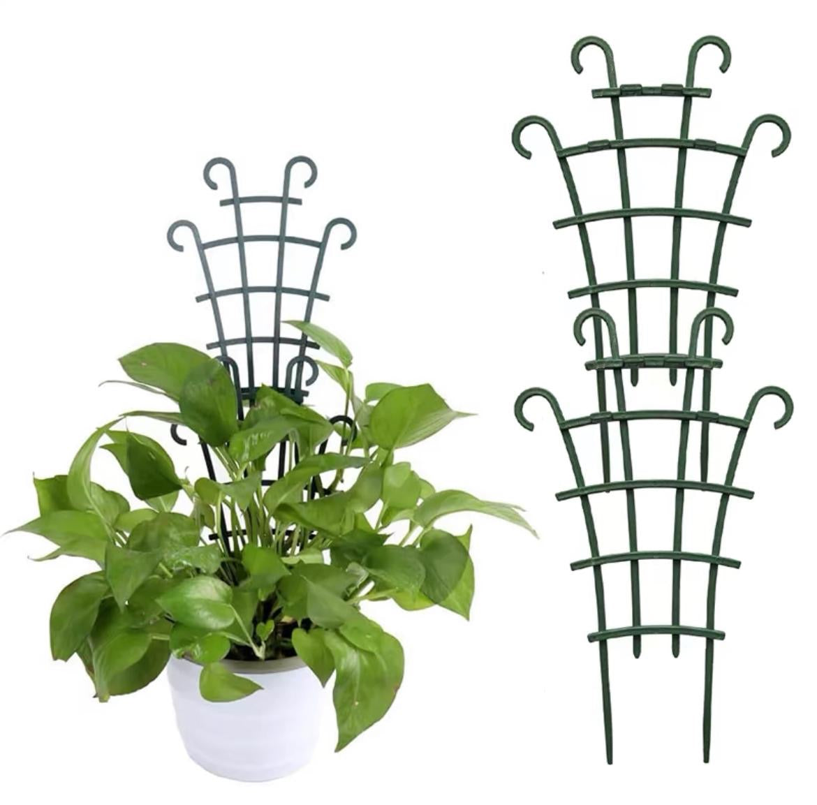 Curved Support Trellis