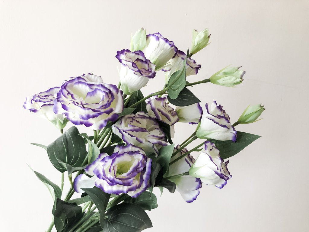 Eustoma