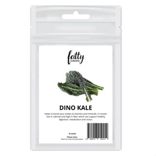 Garden Seeds Fatty Seeds – Dino Kale Vegetable Seeds