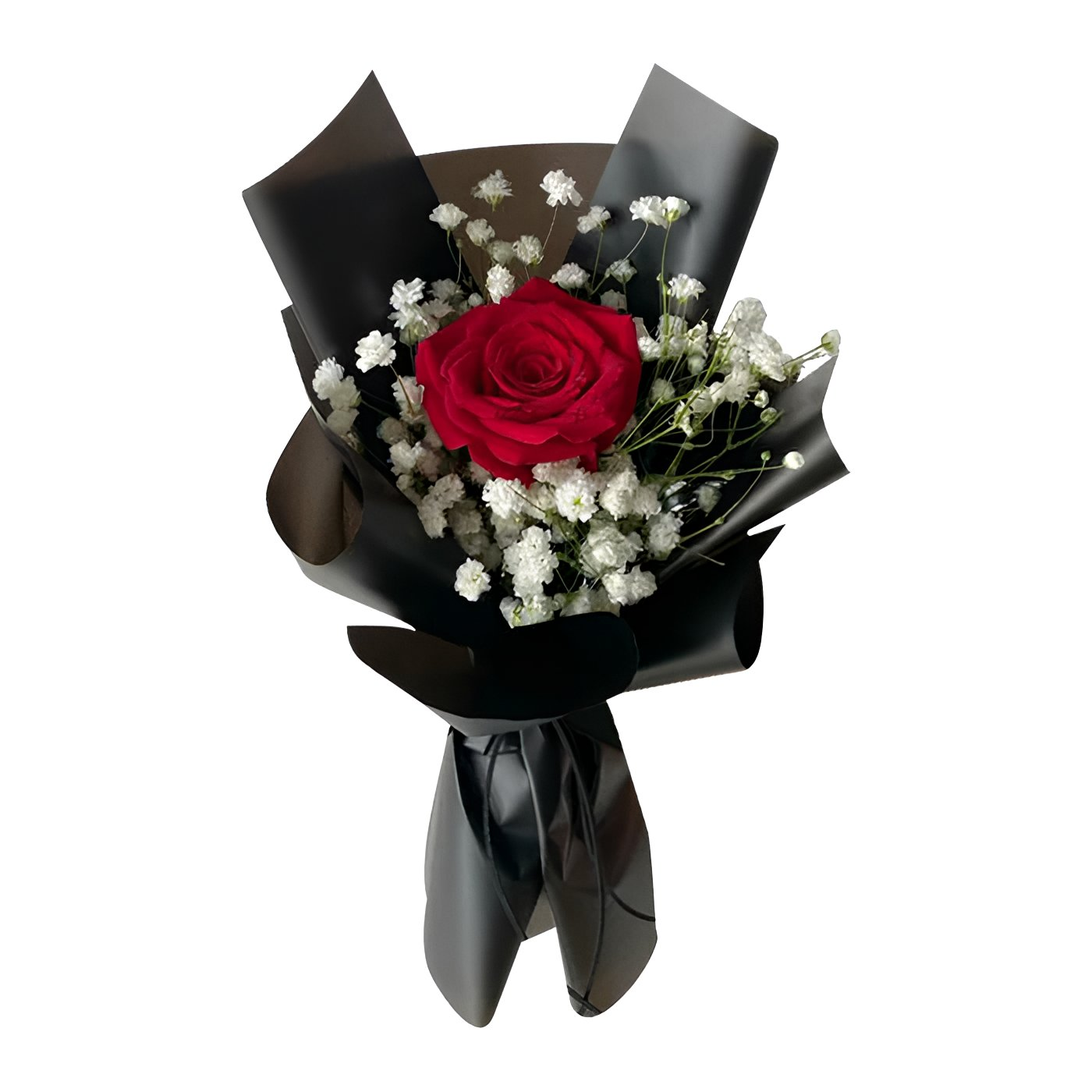 Ruby Haze (Roses, Baby's Breath) | Fresh Bouquet