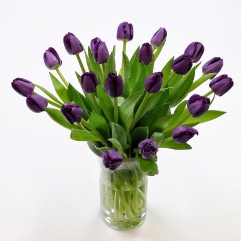 Tulips