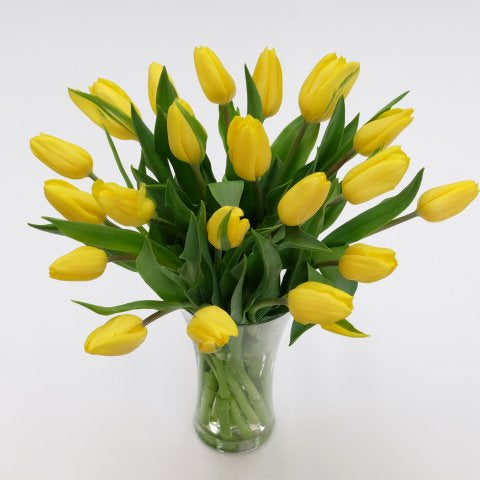 Tulips