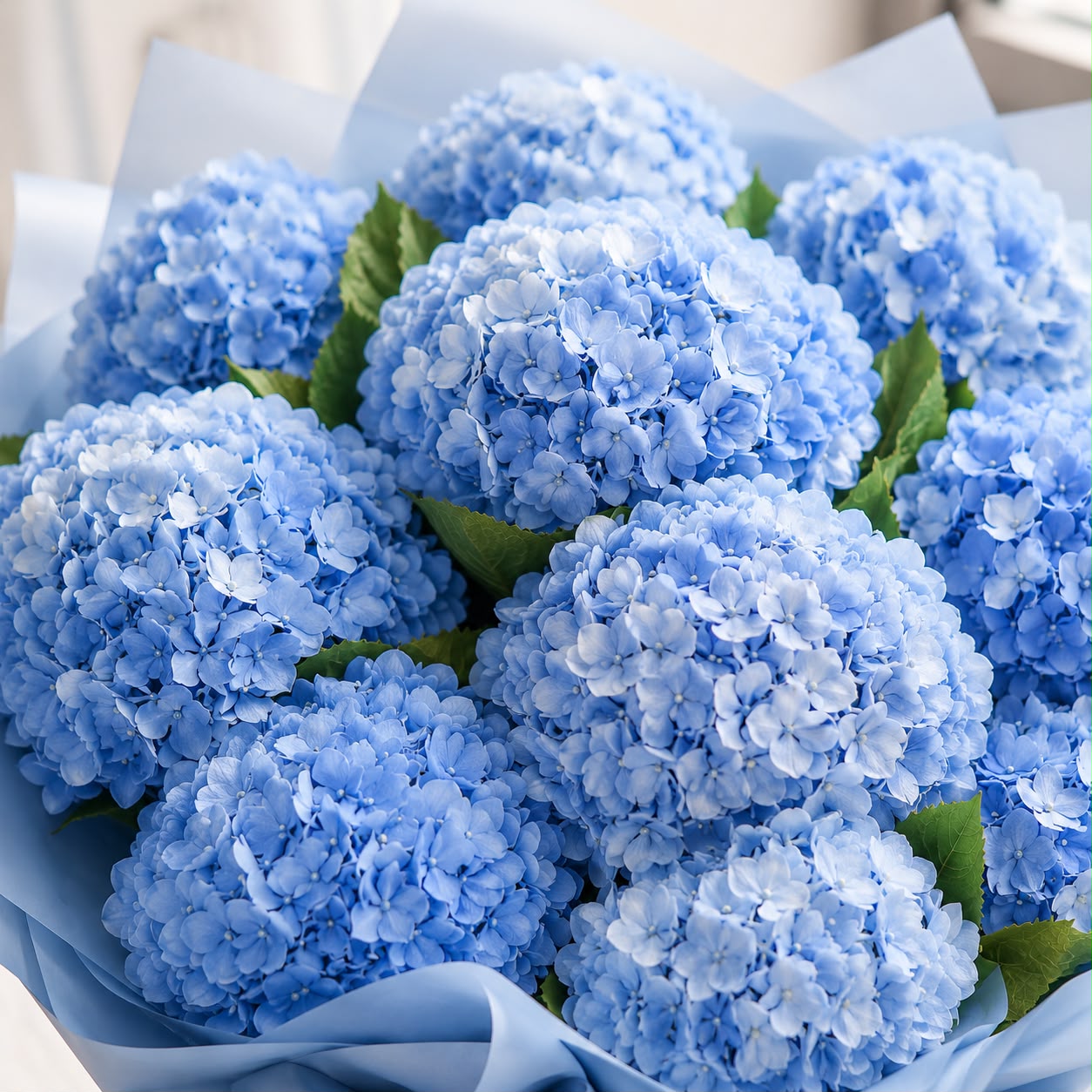 Blue Hydrangea Serenity – 10 Stalks | Fresh Flower Bouquet