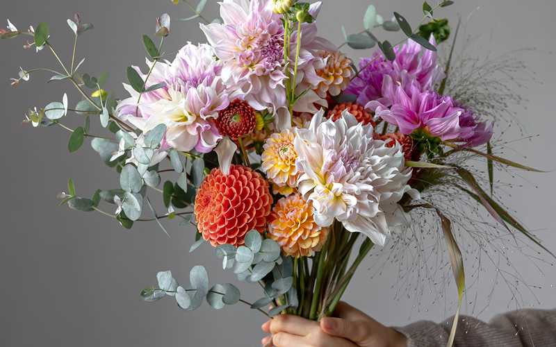 Person holding a colorful dahlia and eucalyptus bouquet.