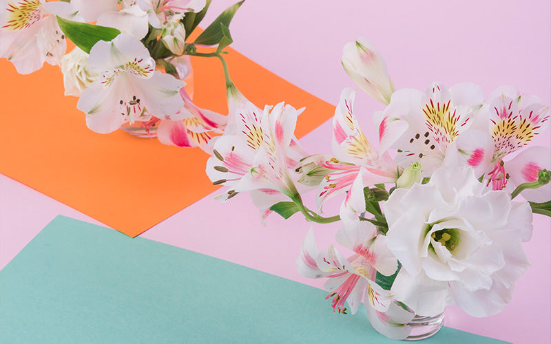 Soft pink and white fresh blossoms arranged elegantly.