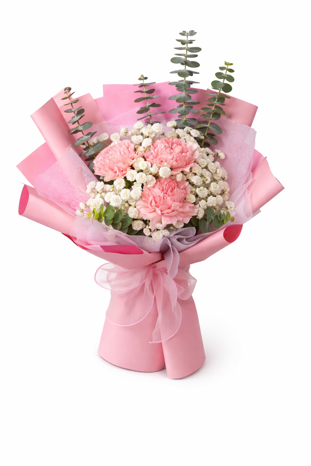 Luna Petaline (Carnation, Baby's Breath) | International Women's Day Flowers