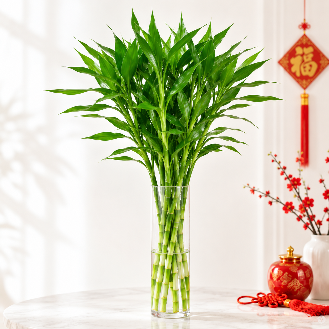 CNY Fresh Lotus Bamboo | Home Plant
