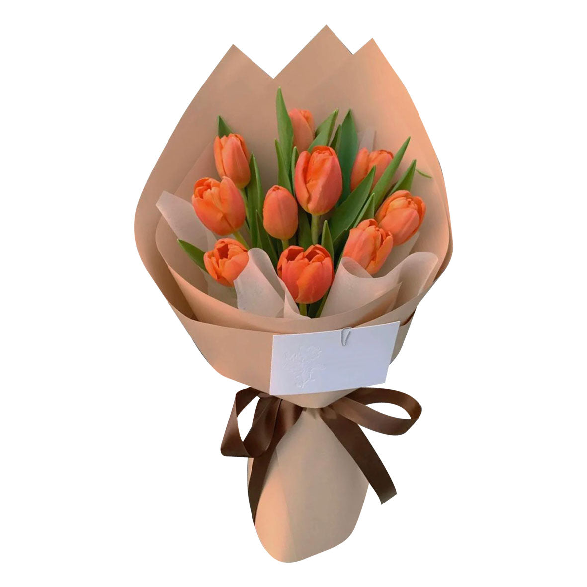 Apricot Glimmer